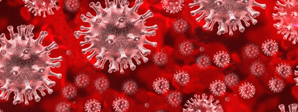 A koronavírus-világjárvány által felvetett kérdések