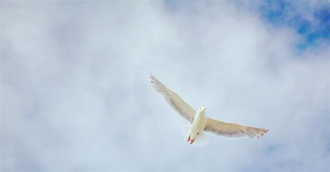 Ne veszítsd el a békességedet! – 1. rész